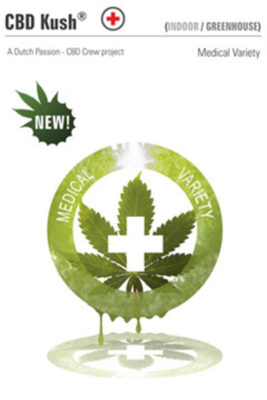 CBD Kush feminisiert 5 Stück - Bushdoctor