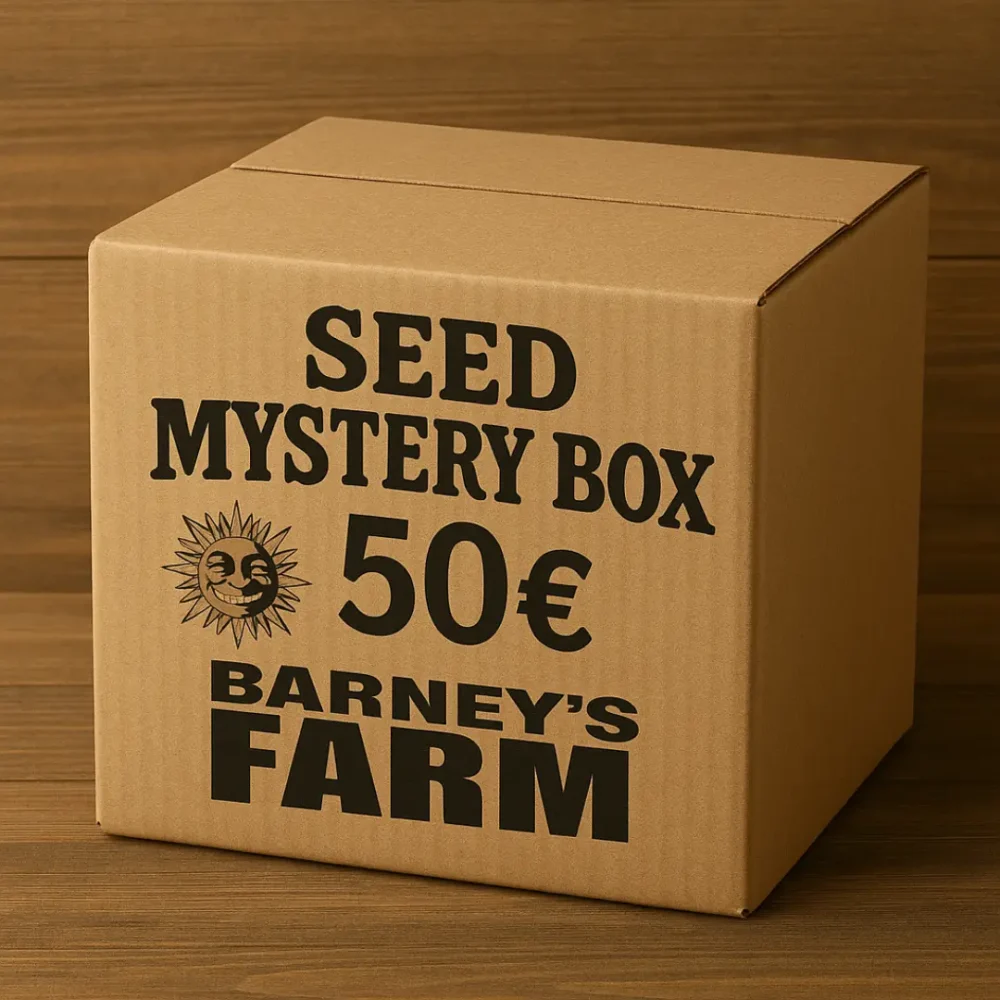 Mystery Box Barneys Farm 50 Euro - Hanfjack