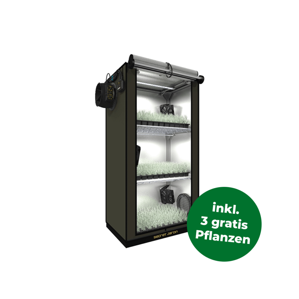 Secret Jardin The Original 60 - Bushdoctor