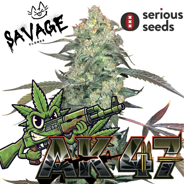 AK-47-Serious Seeds - Savage Clones