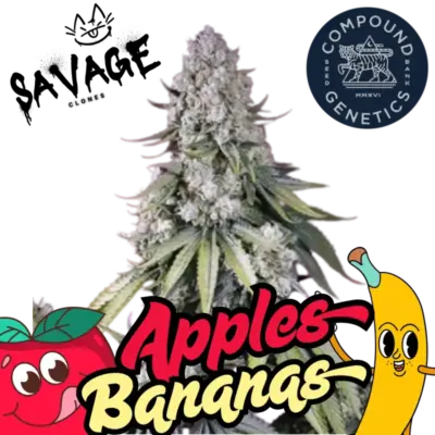 Apples & Bananas Compound Genetics - Savage Clones