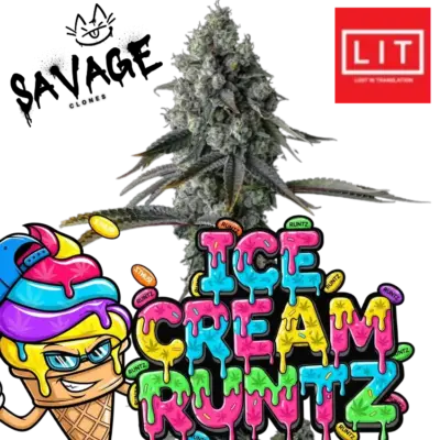 Ice Cream Runtz Lit Farms - Savage Clones