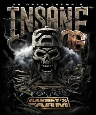 Insane OG Feminisiert-3 Samen - Seeds24