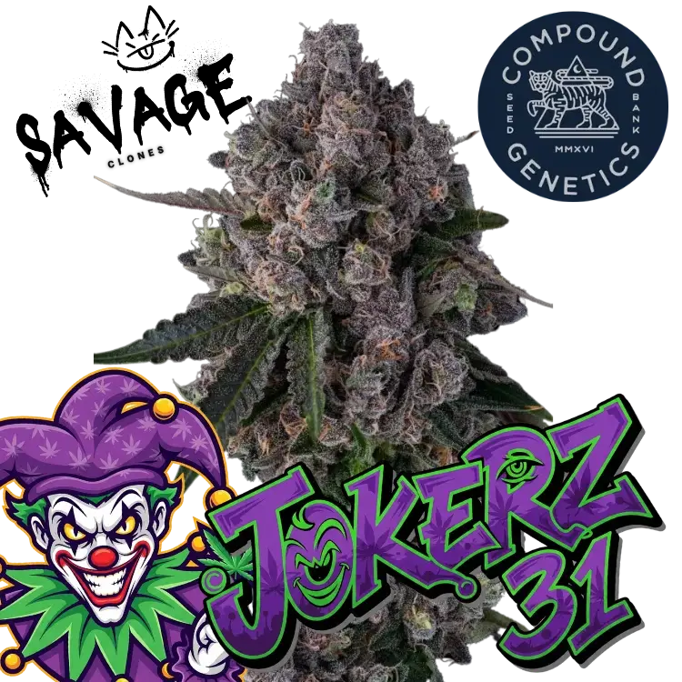 Jokerz 31 Compound Genetics - Savage Clones