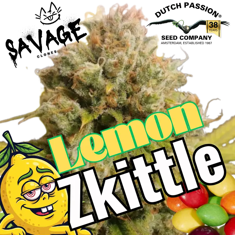 Lemon Zkittle Dutch Passion - Savage Clones